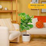 Fiddle Leaf Fig Tree - Indoor Potted Plant