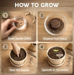 Bonsai Starter Kit – Growing Jacaranda Bonzai Tree from Seeds | Complete Indoor Tree Kit for Growing Plants with Tools & Planter – Gardening Gifts for Mother, Women & Men