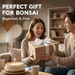 Bonsai Starter Kit – Growing Jacaranda Bonzai Tree from Seeds | Complete Indoor Tree Kit for Growing Plants with Tools & Planter – Gardening Gifts for Mother, Women & Men