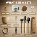 Bonsai Starter Kit – Growing Jacaranda Bonzai Tree from Seeds | Complete Indoor Tree Kit for Growing Plants with Tools & Planter – Gardening Gifts for Mother, Women & Men