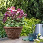 Nooulap 4 Pack 10 Inch Plant Pot, Flower Pots Outdoor with Drainage Hole & Tray, Thickened Plastic Planters for Indoor Outdoor Plants, Lightweight Modern Decorative Garden Pot with Saucer