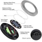 Rayolon Waterproof Solar Garden Ground Lights (12 Pack)