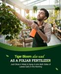 FoxFarm Tiger Bloom Liquid Fertilizer Concentrate - Fast Acting Formula for Vicious Growth with Phosphorus - Encourages Fruit, Flower & Bud Development, NPK 2-8-4 (Pint)