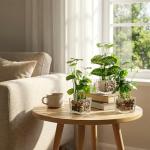 MyGift Set of 3 Fake Plants, Small Artificial Potted Plants Indoor in Clear Glass Pot, 9.5 Inch Faux Plant for Home Decor