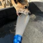 GREEN MOUNT 24-Inch Watering Wand for Gardens