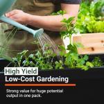 32 Vegetable and Fruit Seed Survival Kit