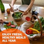 32 Vegetable and Fruit Seed Survival Kit