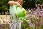 Eco-Friendly Green Toy Watering Can for Kids