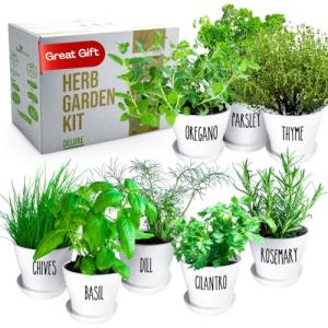 Deluxe Indoor & Outdoor Herb Garden Kit – 8 or The Most Popular Culinary Herbs with Pots & Soil for Windowsill or Patio Growing