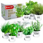 Deluxe Indoor & Outdoor Herb Garden Kit – 8 or The Most Popular Culinary Herbs with Pots & Soil for Windowsill or Patio Growing
