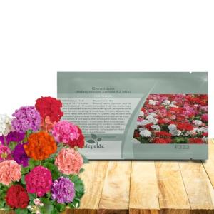 Outsidepride Mix Geranium Seeds for Planting - 100 Pcs Annual, Heat & Drought Tolerant Flower Seeds with Green Foliage & Mix Blooms for Pots, Borders & Lush Summer Garden Displays