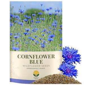 SunHaven Seeds Blue Cornflower Seeds - Bachelor Button (Centaurea Cyanus) - Extra Large 1 oz Packet with Over 5,500 Open Pollinated Wildflower Seeds for Full Sun Gardens