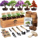 AVERGO Bonsai Tree Kit – Grow 5 Unique Varieties