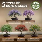 AVERGO Bonsai Tree Kit – Grow 5 Unique Varieties