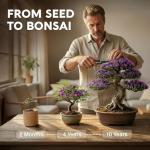 AVERGO Bonsai Tree Kit – Grow 5 Unique Varieties