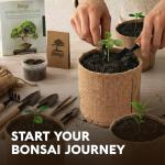 AVERGO Bonsai Tree Kit – Grow 5 Unique Varieties