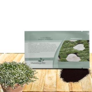 Outsidepride Irish Moss Ground Cover Seeds - 10000 Pcs Perennial Low Growing, Mat-Forming Lawn Alternative, Outdoor Ground Cover Seeds with Shade Tolerance, Ideal for Pathways and Rock Gardens