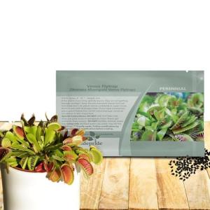 Outsidepride Venus Flytrap Seeds - 10 Pcs Perennial, Unique & Carnivorous, Indoor Plant Seeds for House Plants, Easy to Grow & Low Maintenance, Ideal for Terrariums, Pots, & Non-Winter Hardy Zones