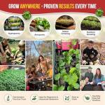 14 Varieties of Non-GMO Sweet & Hot Pepper Seeds