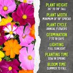 Seed Needs Flower Seeds Cosmos Crazy Blend No Filler 10+ Varieties Cosmos | Cosmo Bipinnatus Open Pollinated Untreated | Resealable Packaging Keeps Seeds Fresh | Bulk Cosmos Flowering Seed Mix