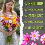Seed Needs Flower Seeds Cosmos Crazy Blend No Filler 10+ Varieties Cosmos | Cosmo Bipinnatus Open Pollinated Untreated | Resealable Packaging Keeps Seeds Fresh | Bulk Cosmos Flowering Seed Mix
