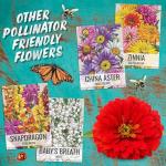 Seed Needs Flower Seeds Cosmos Crazy Blend No Filler 10+ Varieties Cosmos | Cosmo Bipinnatus Open Pollinated Untreated | Resealable Packaging Keeps Seeds Fresh | Bulk Cosmos Flowering Seed Mix