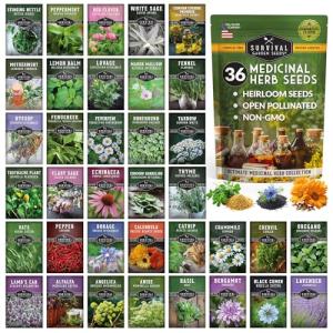 36-Piece Medicinal Herb Seed Collection