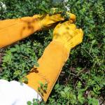 Durable Leather Gardening Gloves with Thorn Protection