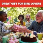 Ruby Hummingbird Feeder with 4 Feeding Stations