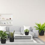 Fodetyff 14-inch-Plastic-Plant-Pots-with-Saucer, Flower Pots Containers for Indoor Outdoor Plants, Large Resin Planter with Drainage Holes and Saucers for Snake Plant Monstera