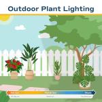 Costa Farms Gardenia Live Plant in 10-Inch Pot – Fragrant Live Flowering Shrub with Glossy Green Foliage | Indoor or Outdoor Use | Perfect for Patios, Entryways, and Gifts