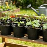 Niiiice 24-Pack 3 Gallon Flexible Plastic Plant Pots with 30Pcs Plant Labels,Thickened Soft Seed Starting Container for Indoor Outdoor Plants, Seedlings, Vegetables, Succulents and Cuttings