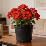 Niiiice 24-Pack 3 Gallon Flexible Plastic Plant Pots with 30Pcs Plant Labels,Thickened Soft Seed Starting Container for Indoor Outdoor Plants, Seedlings, Vegetables, Succulents and Cuttings