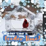 Transparent Acrylic Window Bird Feeder with Strong Suction