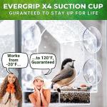 Transparent Acrylic Window Bird Feeder with Strong Suction