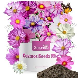 Groundio Cosmos Seeds Wildflower Mix, 1 Oz, 3,000+ Seeds, 4 Varieties Flowers Seeds for Planting (Radiance, Purity, Pinkie, Picotee), Open Pollinated Bulk
