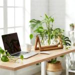 RENMXJ Plant Propagation Station with 3 Bulb Vases