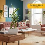 Medium Lucky Bamboo Plant with Black Ceramic Planter