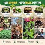 25 Popular Herb Seed Variety Pack for Planting