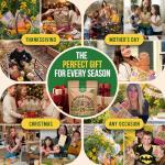 25 Popular Herb Seed Variety Pack for Planting