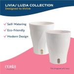 Costa Farms Raven ZZ Plant in White Planter