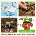 CarpetC 500+ Strawberry & Raspberry Seeds Mix for Planting - Red White Yellow Strawberry and Red Berry, Heirloom Non-GMO Fruit Seeds for Backyard, Patio Pots & Home Garden