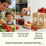 CarpetC 500+ Strawberry & Raspberry Seeds Mix for Planting - Red White Yellow Strawberry and Red Berry, Heirloom Non-GMO Fruit Seeds for Backyard, Patio Pots & Home Garden