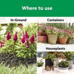 Miracle-Gro Shake 'N Feed All Purpose Plant Food - Outdoor and Indoor Plant Food for In-Ground and Containers, Feeds for up to 3 Months, 8 lbs.