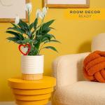 Costa Farms Peace Lily Live Plant in Decorative Pot, Air Purifying Flowering Indoor Houseplant, Perfect for Home, Room, or Office Decor, Great House Warming or Birthday Gift, 14-24 Inches Tall