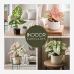 Syngonium Plant Collection (4 Pack) Live Starter Plants, Batik, Holly M, Milk Confetti, Neon Robusta, Rare Indoor Houseplants, Easy Care Arrowhead Vine Plants Live