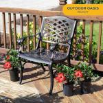 Costa Farms Live Premium Hibiscus Outdoor Plant in 1 QT Grower Pot, 13-Inches Tall, Red Flowers