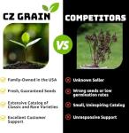 2 Downy Serviceberry Bush Plants for Growing - (Amelanchier arborea) Juneberry Bushes (2 Seedlings) - Hardy Edible Berry Shrubs for Backyard Gardens, Pollinator-Friendly, White Flowers