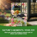 Birdream 2 Pack Bird Feeders for Outdoor Hanging, Assembly Required, 1-Min Easy Setup, Classic Courtyard Design, Attracting Cardinals Chickadees Goldfinches & Sparrows, Total 7 LB - Black