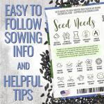 Seed Needs Heavenly Blue Morning Glory Seeds for Planting | 1,000+ Heirloom Seeds Ipomoea Tricolor Untreated Annual Flowering Seed | Vine Plant Produces Masses of 6" Wide Blue Blooms | Bulk